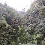 Byways_Management_01_Before