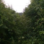 Byways_Management_02_Before