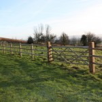 Fencing_01