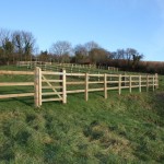 Fencing_06