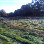 Field_drainage_01_Before