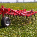 Green Paddocks