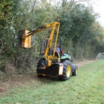 Hedge_Trimming_03