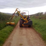 Hedge_Trimming_04