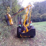 Hedge_Trimming_05