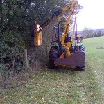 Hedge_Trimming_07