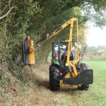 Hedge_Trimming_08