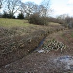 Laying a hedge