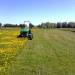 Green Paddocks