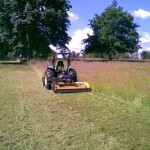Green Paddocks