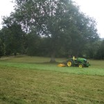 Green Paddocks