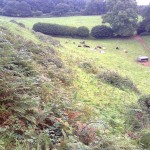 Steep_Land_Scrub_Clearance_01_Before
