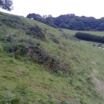 Steep_Land_Scrub_Clearance_03_Before