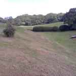 Steep_Land_Scrub_Clearance_04_After