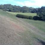 Steep_Land_Scrub_Clearance_05_After