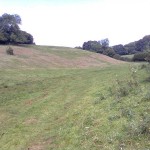 Steep_Land_Scrub_Clearance_06_After